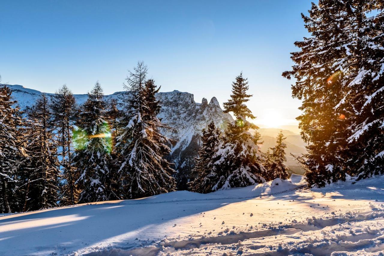 Bad Ratzes Hotel Siusi Bagian luar foto